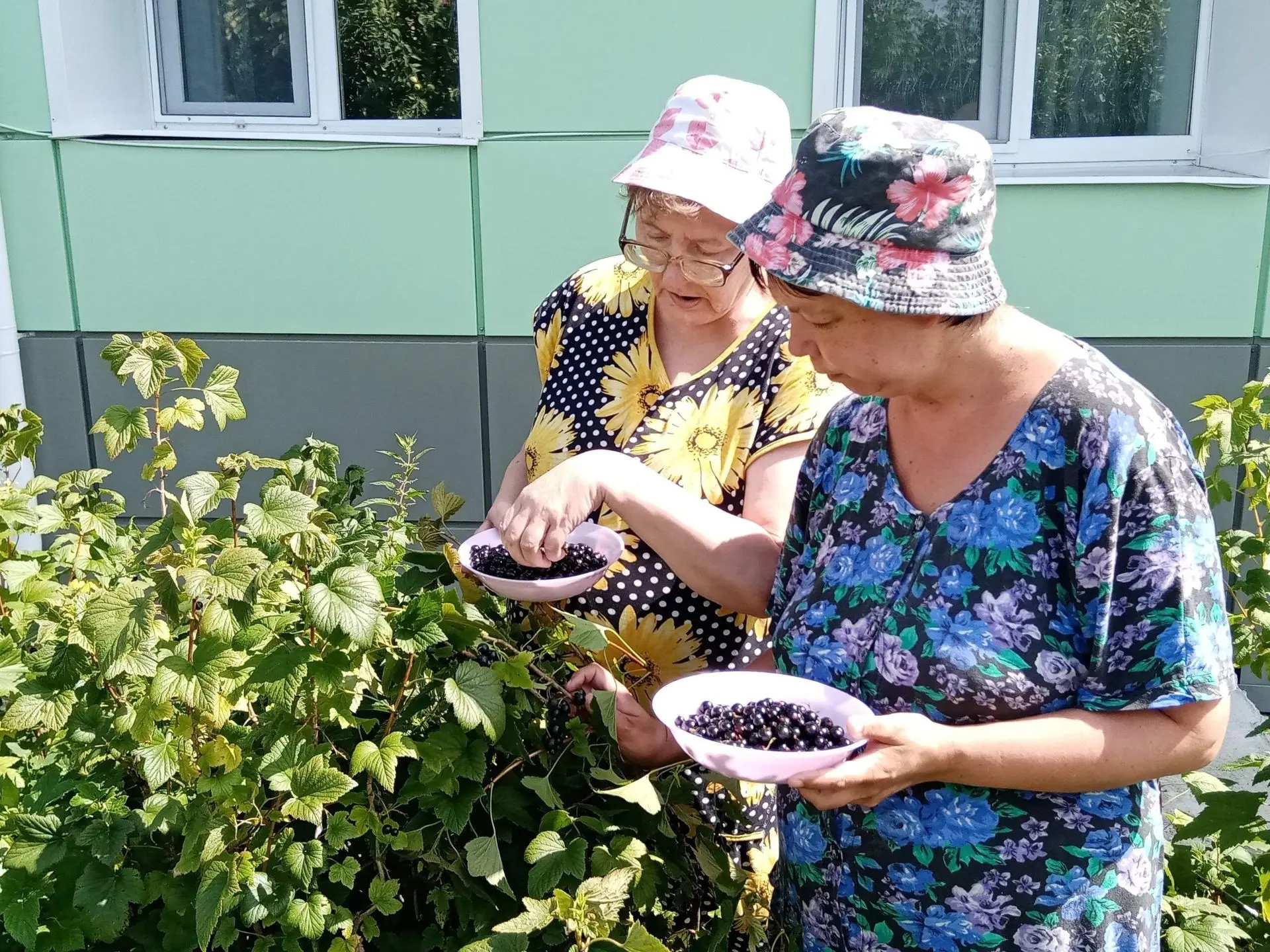 ОГОРОДНЫЕ ХЛОПОТЫ
Июль насыщенный месяц для участников кружка «Сад-Огород от А до Я» Новлянского до