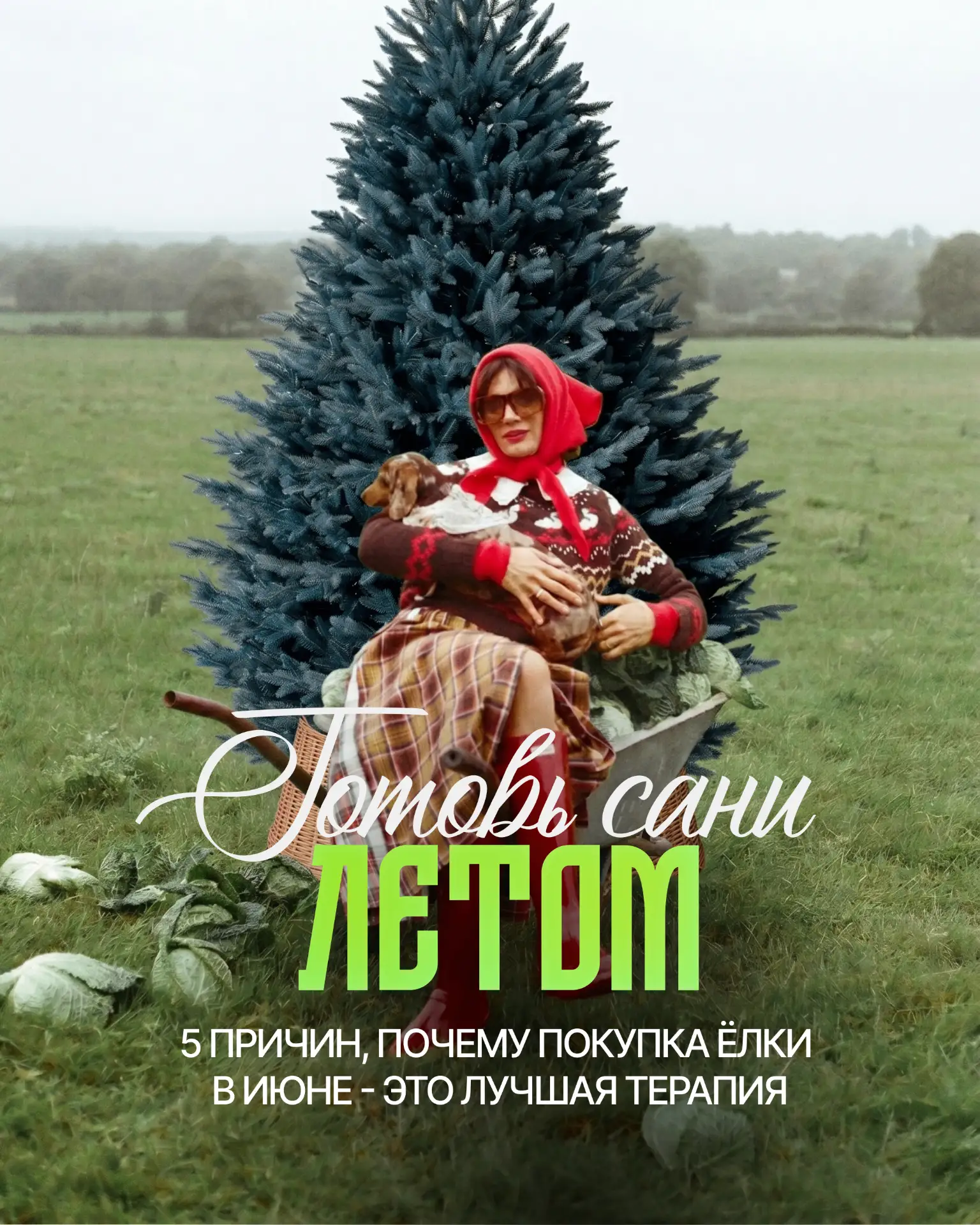 5 причин, почему покупка ёлочки в июне - это лучшая терапия 
Времена сейчас такие, что горизонт план