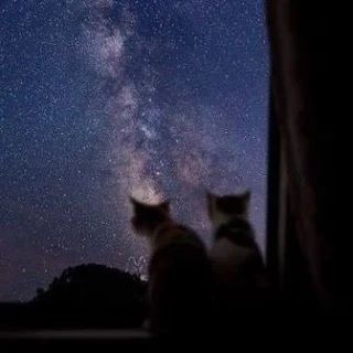🌠 В октябре челябинцы увидят сразу два звездопада