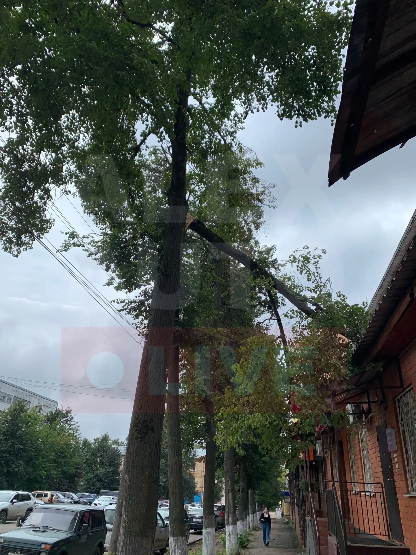 ⚠️ На Казарменном переулке большая ветка дерева треснула и рухнула на крышу здания прямо над тротуар