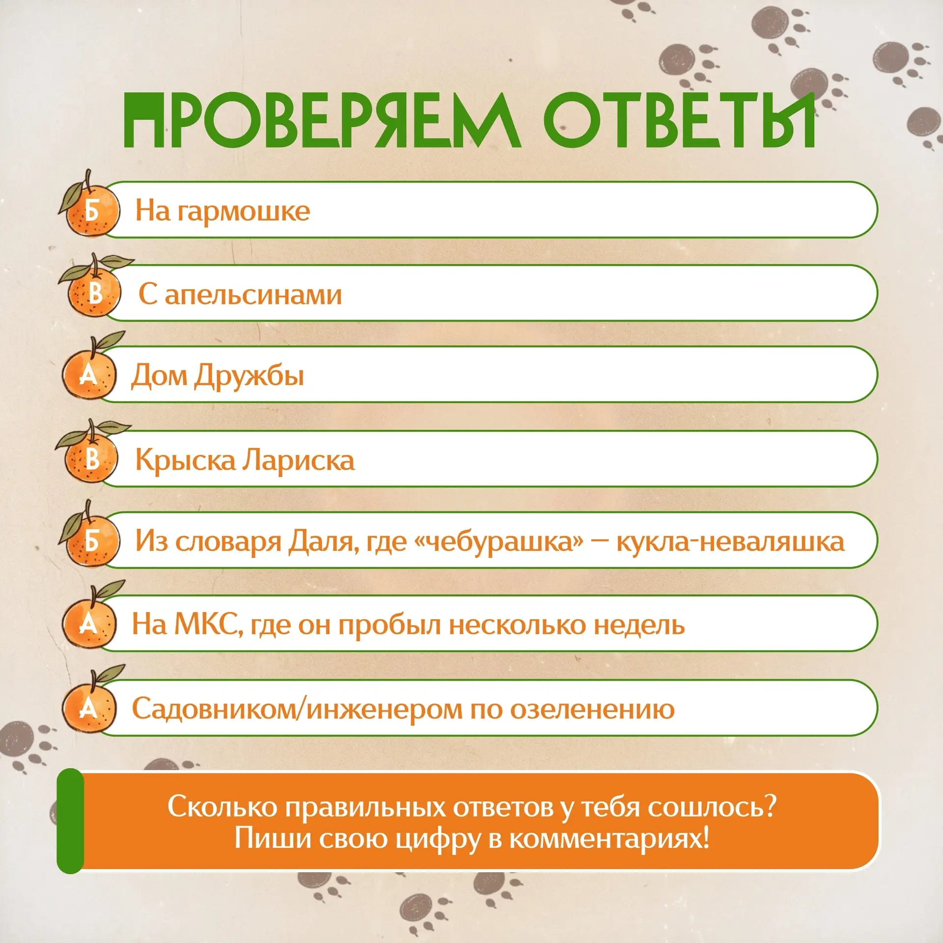 Проверь себя: