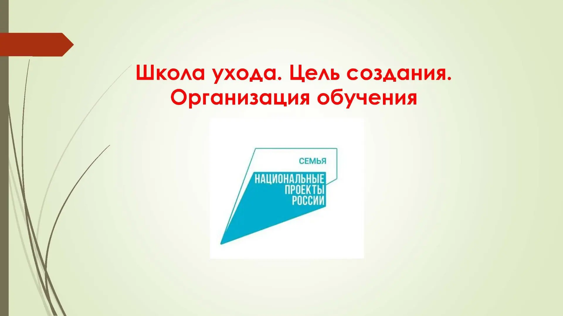 Школа ухода. Цель создания. Организация обучения