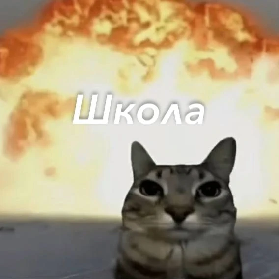 *мы бро?