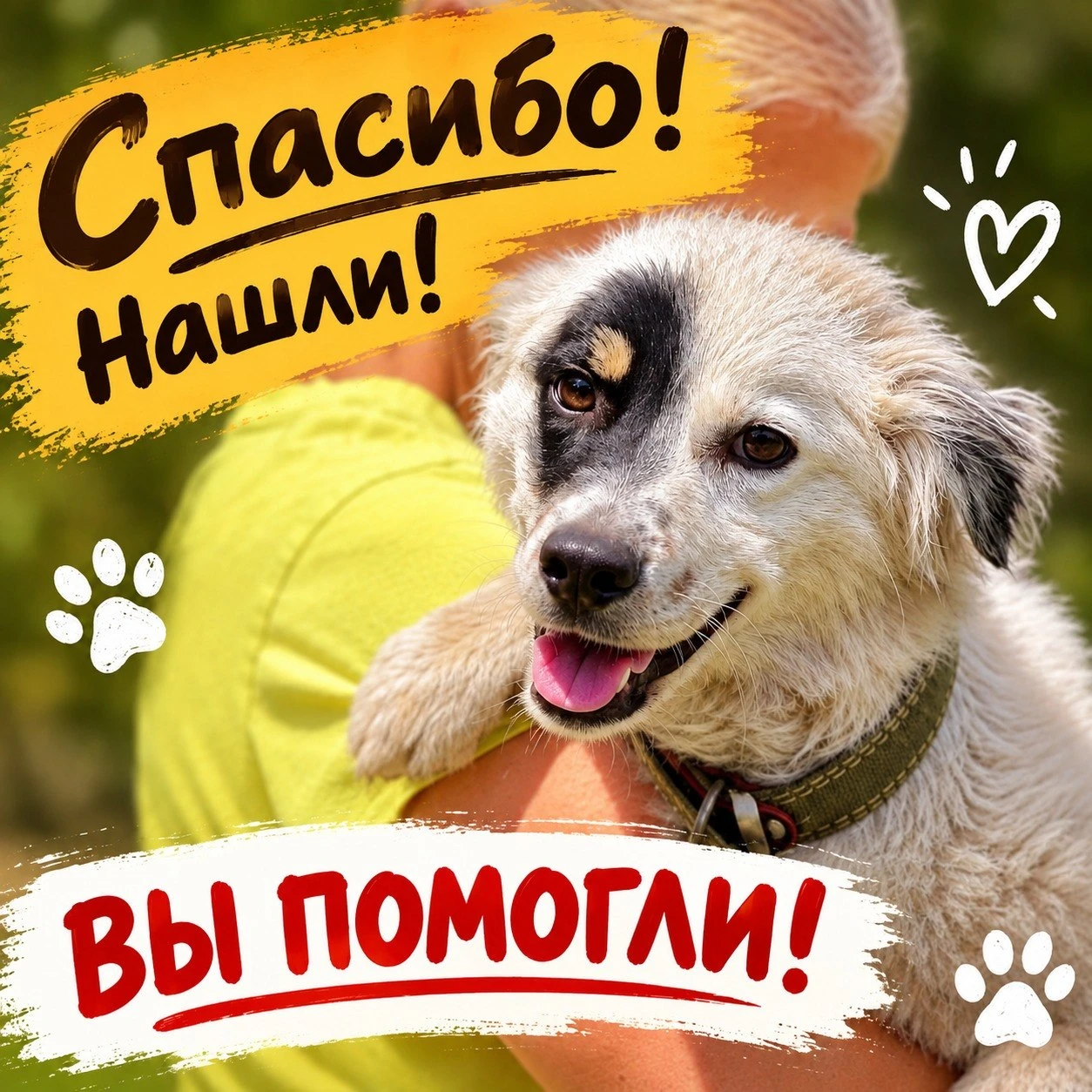 Неуловимый Бим найден, обезврежен и посажен в самый добротный вольер! 😆 Это был квест ...