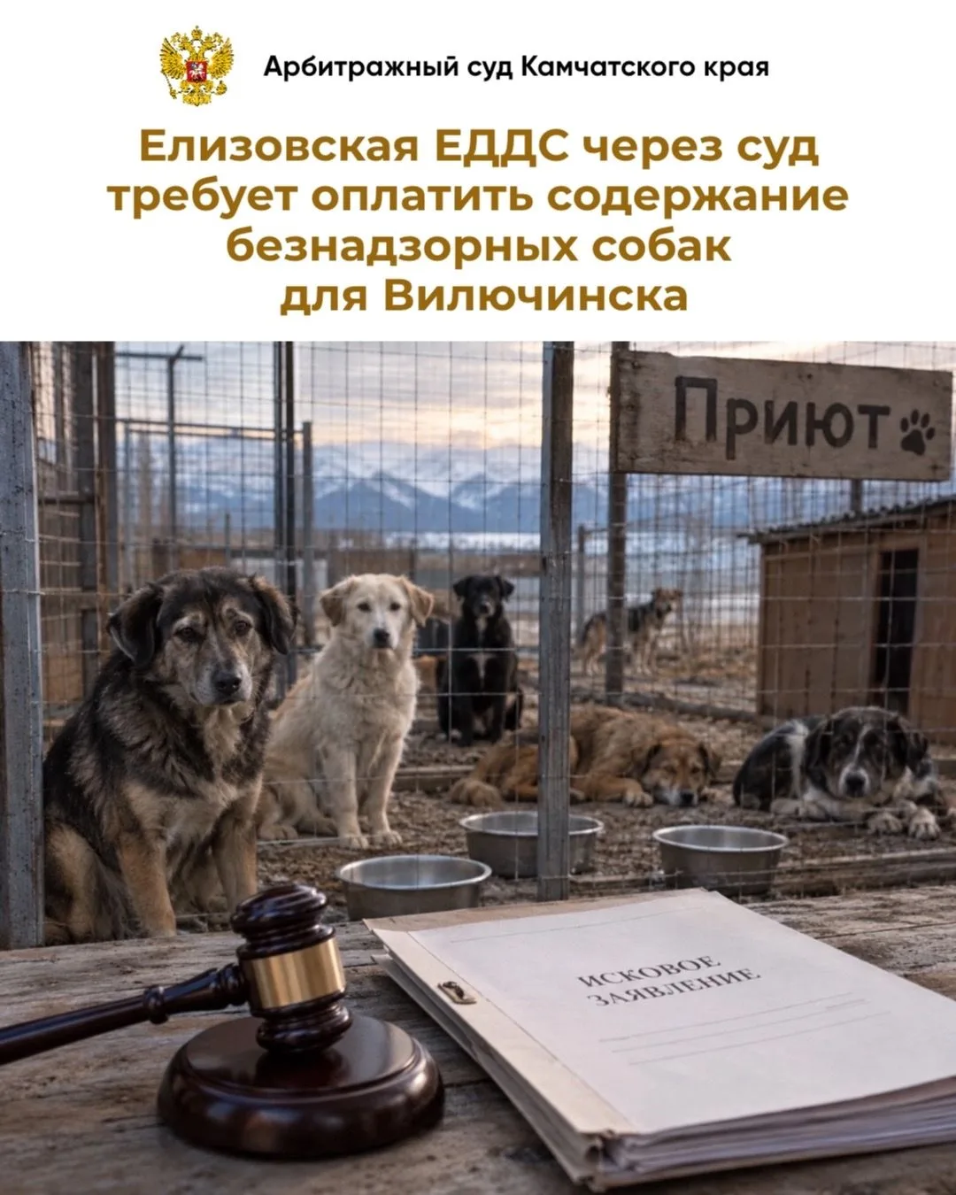 В Арбитражном суде Камчатского края на рассмотрении находится дело по исковому заявлени...