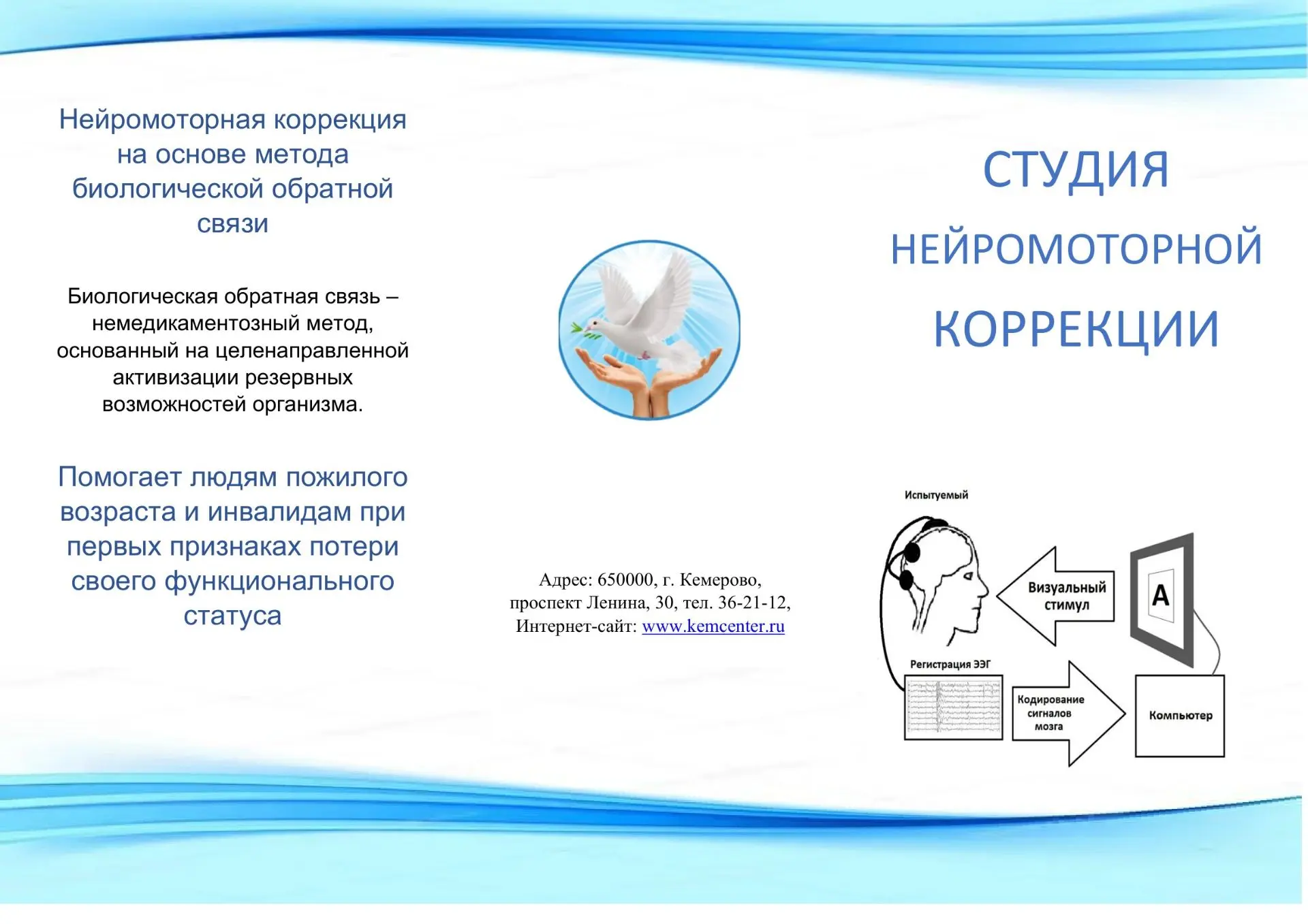 Студия нейромоторной коррекции