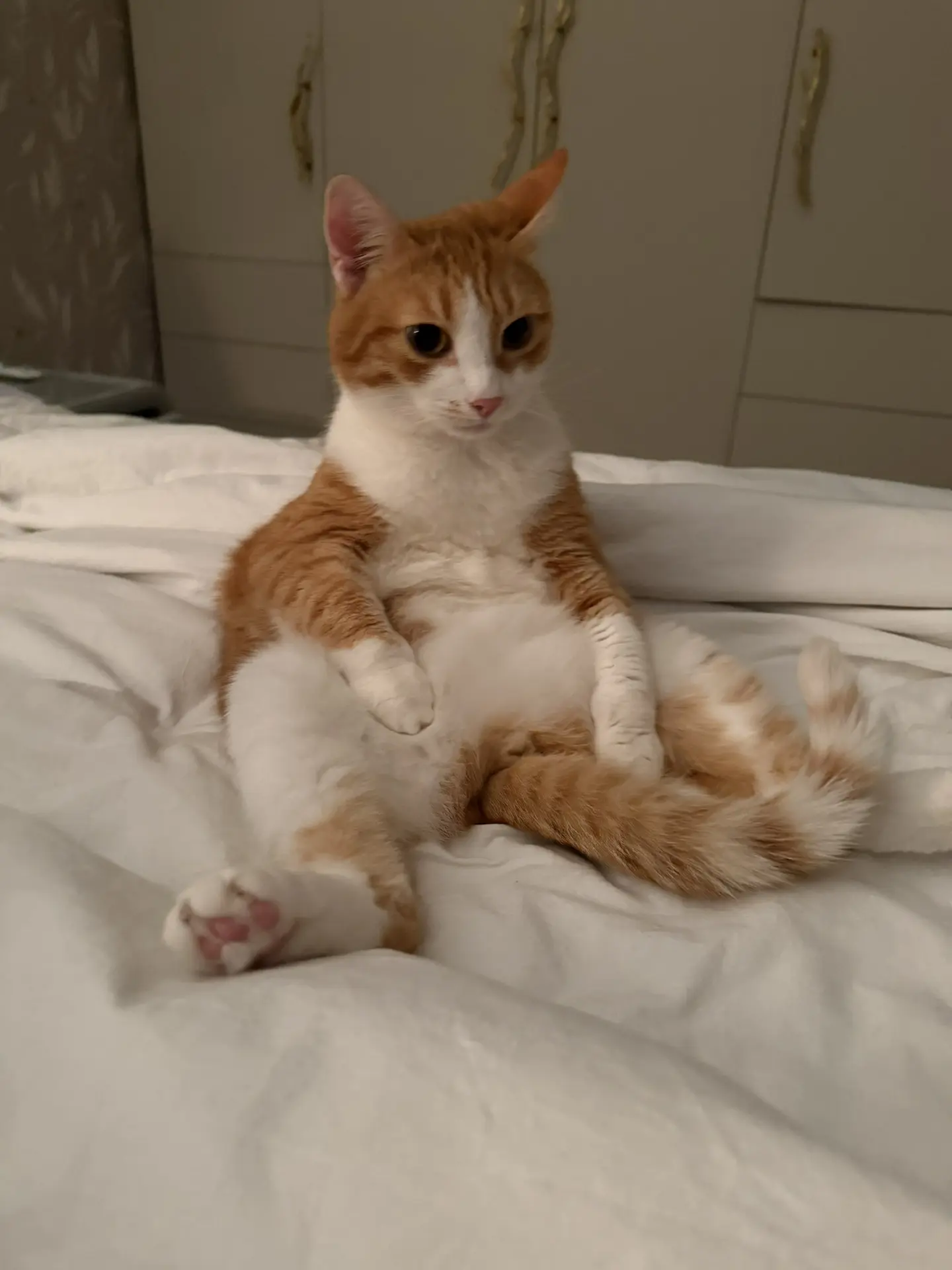 Доблое утло всем 😻😻😻