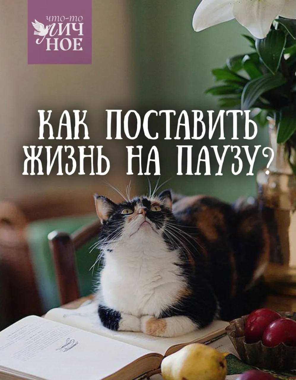 Книжный и папа: рецепт возвращения в беззаботность 📚  Небо нарядным ситцем отражается в окнах домов,