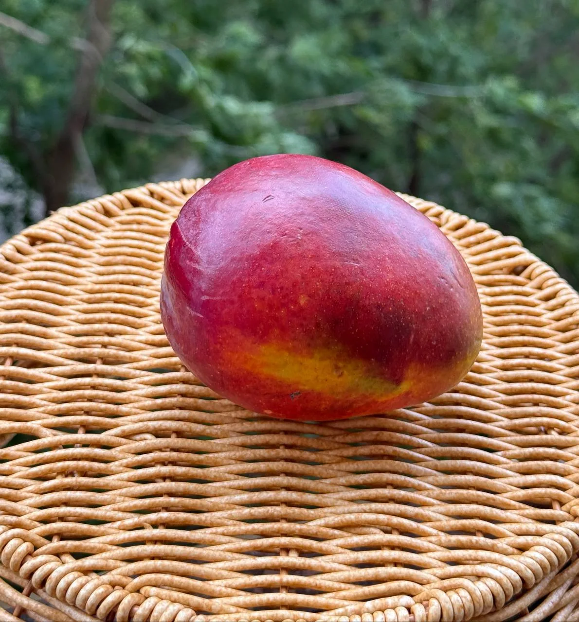 Тем, кто никак не мог вычленить лактонную (кокосовую) и карамельную часть манго — реком...