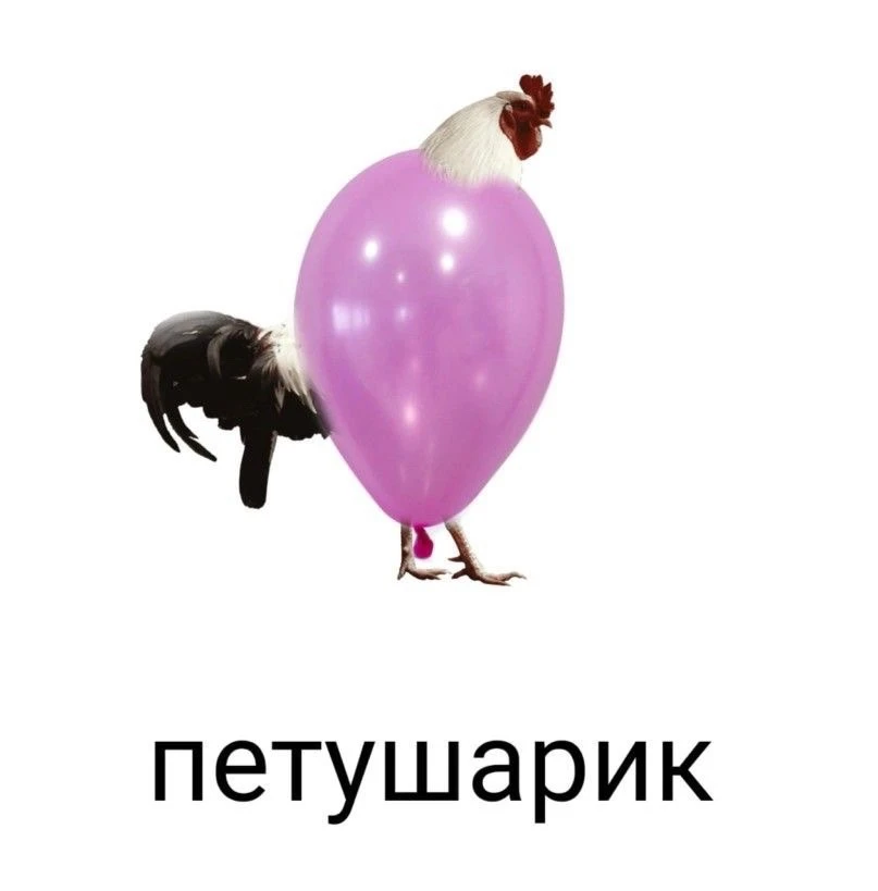 ОБОЖАЮ ЭТИ КАРТИНКИ АХАХАХАХАХХАХАХА

Больше такого здесь: max/shlakoblokun