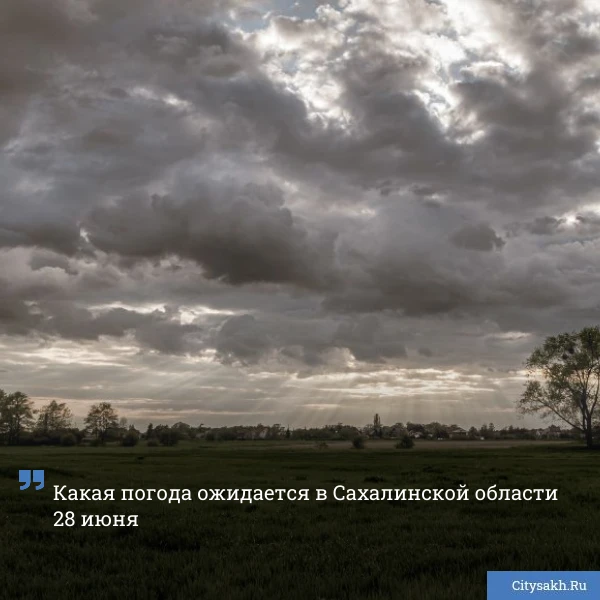 🫠 Серое, промозглое воскресенье встретит сахалинцев и курильчан.