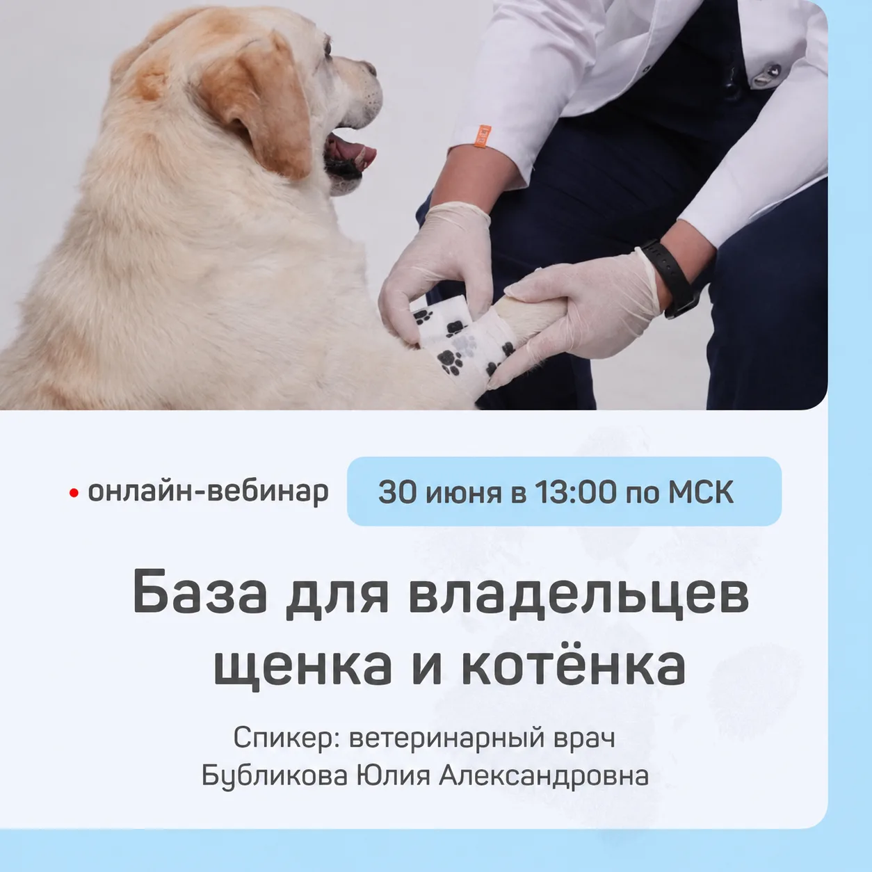 Спасибо всем, кто заполнил анкету, поделился своими вопросами и проявил интерес. Я всё прочитала и п