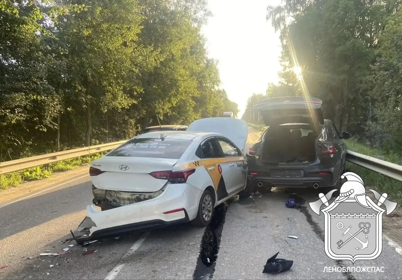 Вчера в 18:19 поступило сообщение о ДТП в Красном Бору на улице Красная дорога, у дома ...