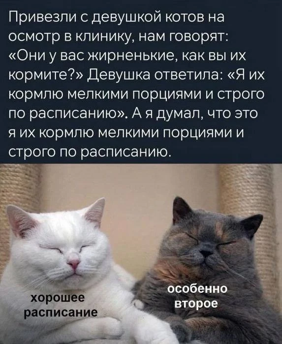 Всем доброе утро! Вчера мне написали про автокормушку. Спасибо огромное! Мне даже в голову не пришло