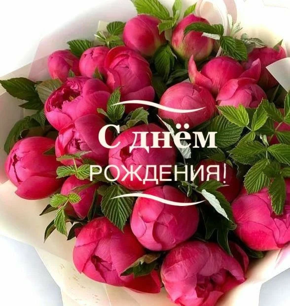 Сегодня свой юбилейный День Рождения отмечает директор нашего Центра Маргарита Витальев...