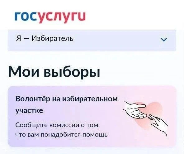 🙌🏻 Сервис «Волонтер на избирательном участке» начал свою работу