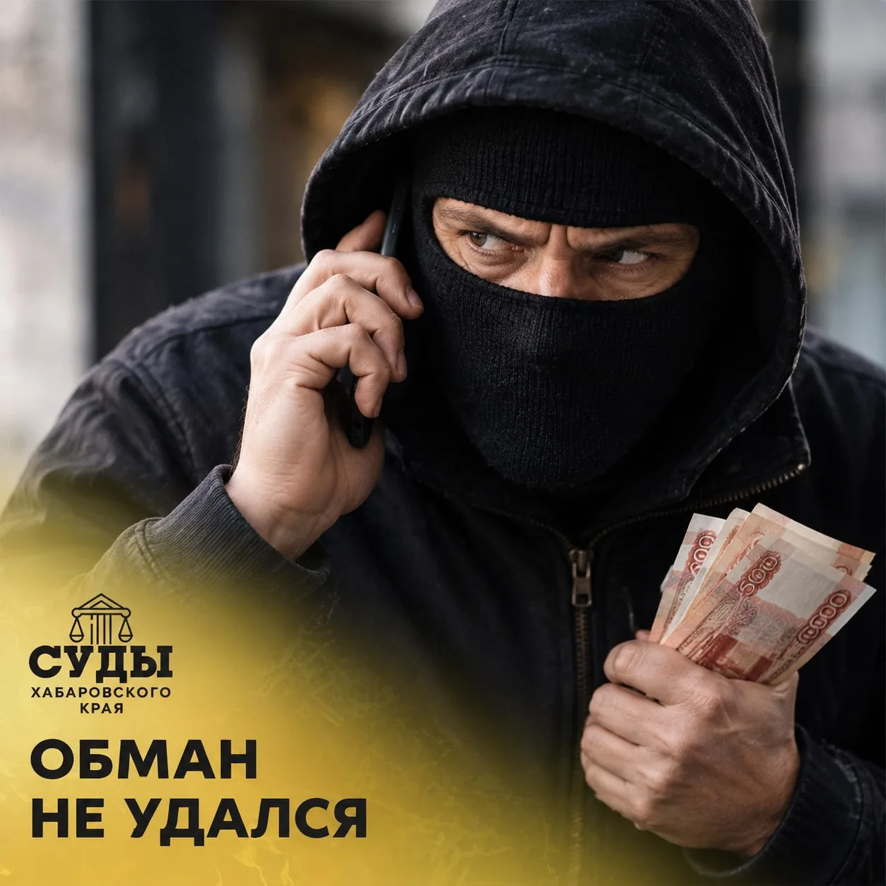 Хабаровский районный суд Хабаровского края избрал меру пресечения в виде заключения под...