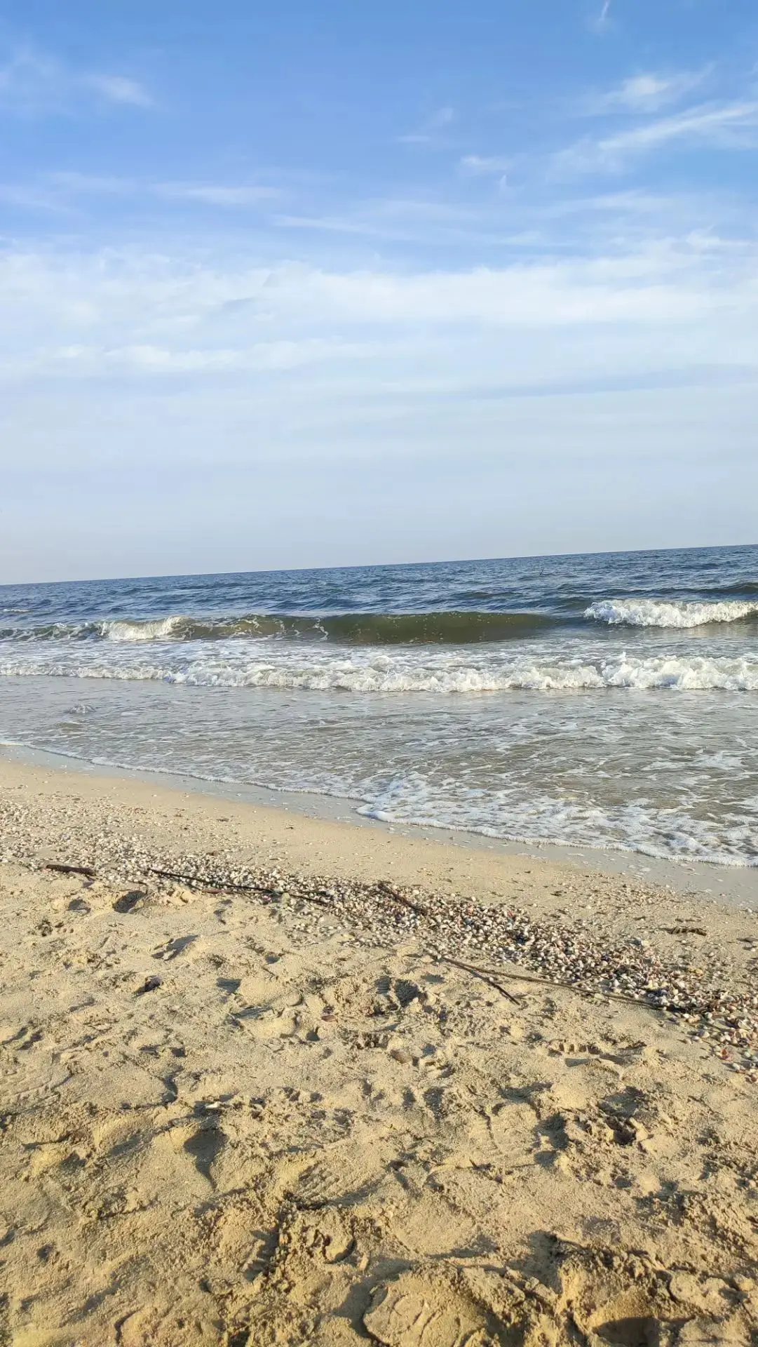 Доброе утро 🐬