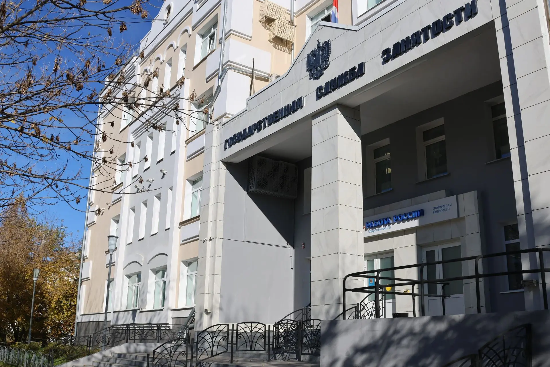 🖥Аналитика запросов и меры поддержки пенсионеров в Приамурье