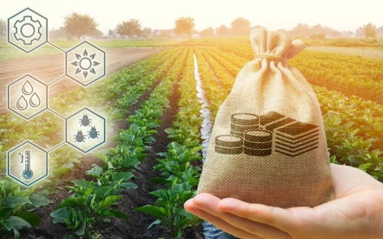 📌 На портале предоставления мер финансовой государственной поддержки (https://promote....