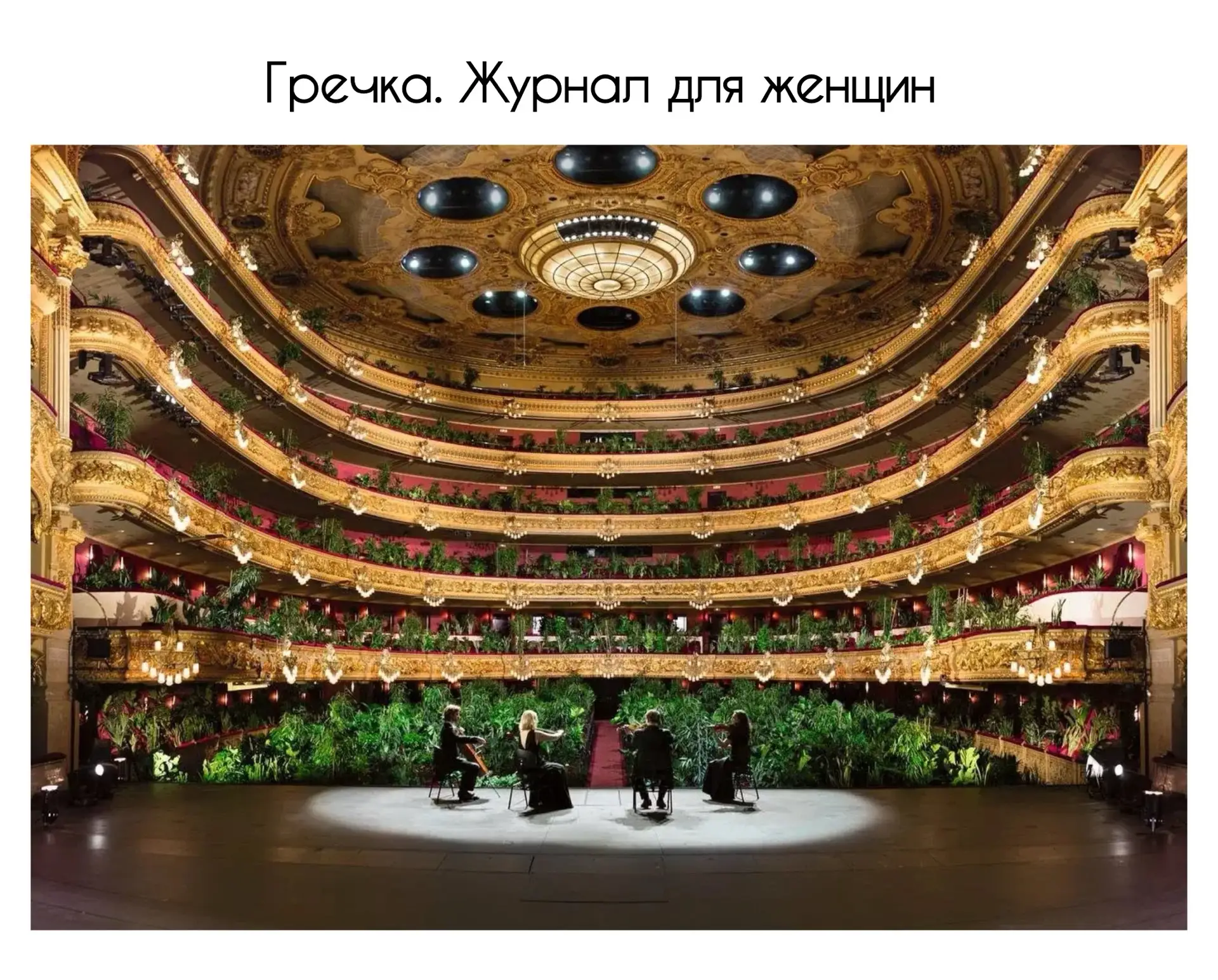 Вместо людей - растения 

В 2020 году 22 июня в испанском театре Liceu прозвучала элегия «Хризантемы