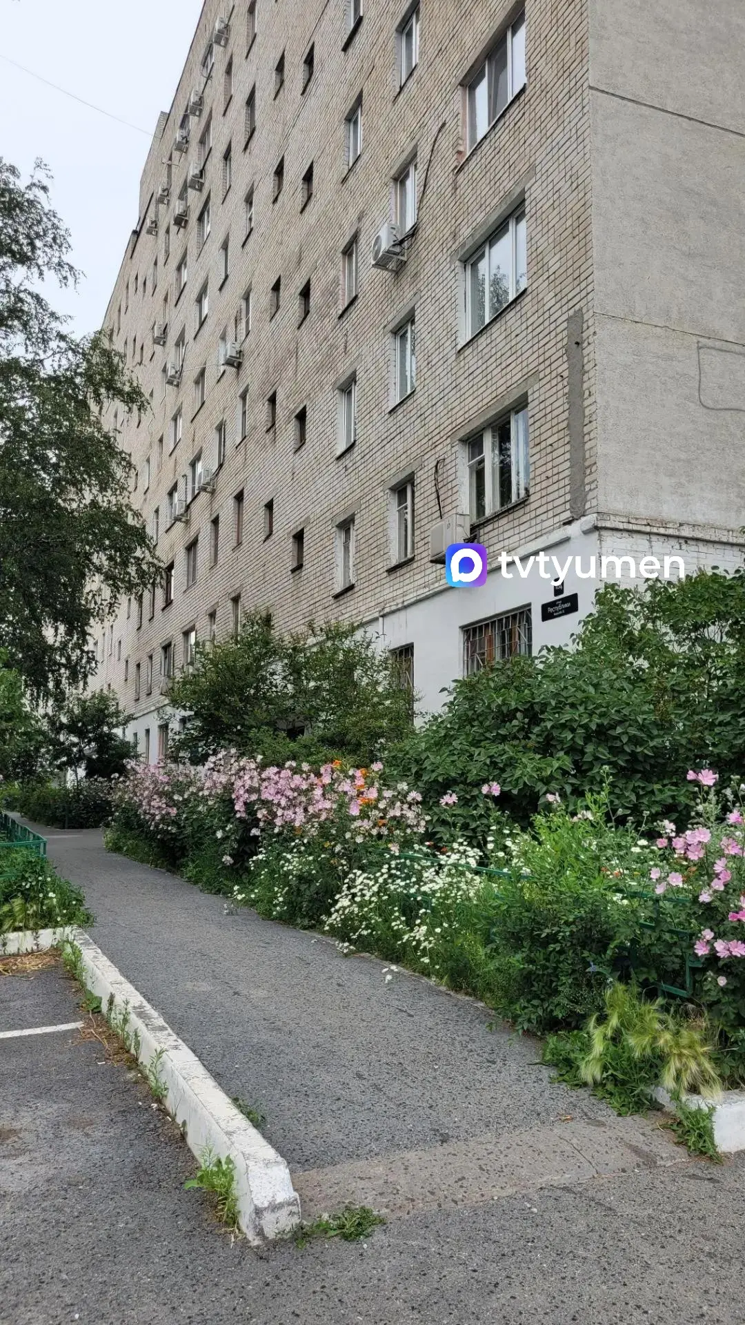 🎨 Добавим красок в этот пасмурный день

 Полюбуйтесь, как уютно выглядит двор на ул. Республики, 16