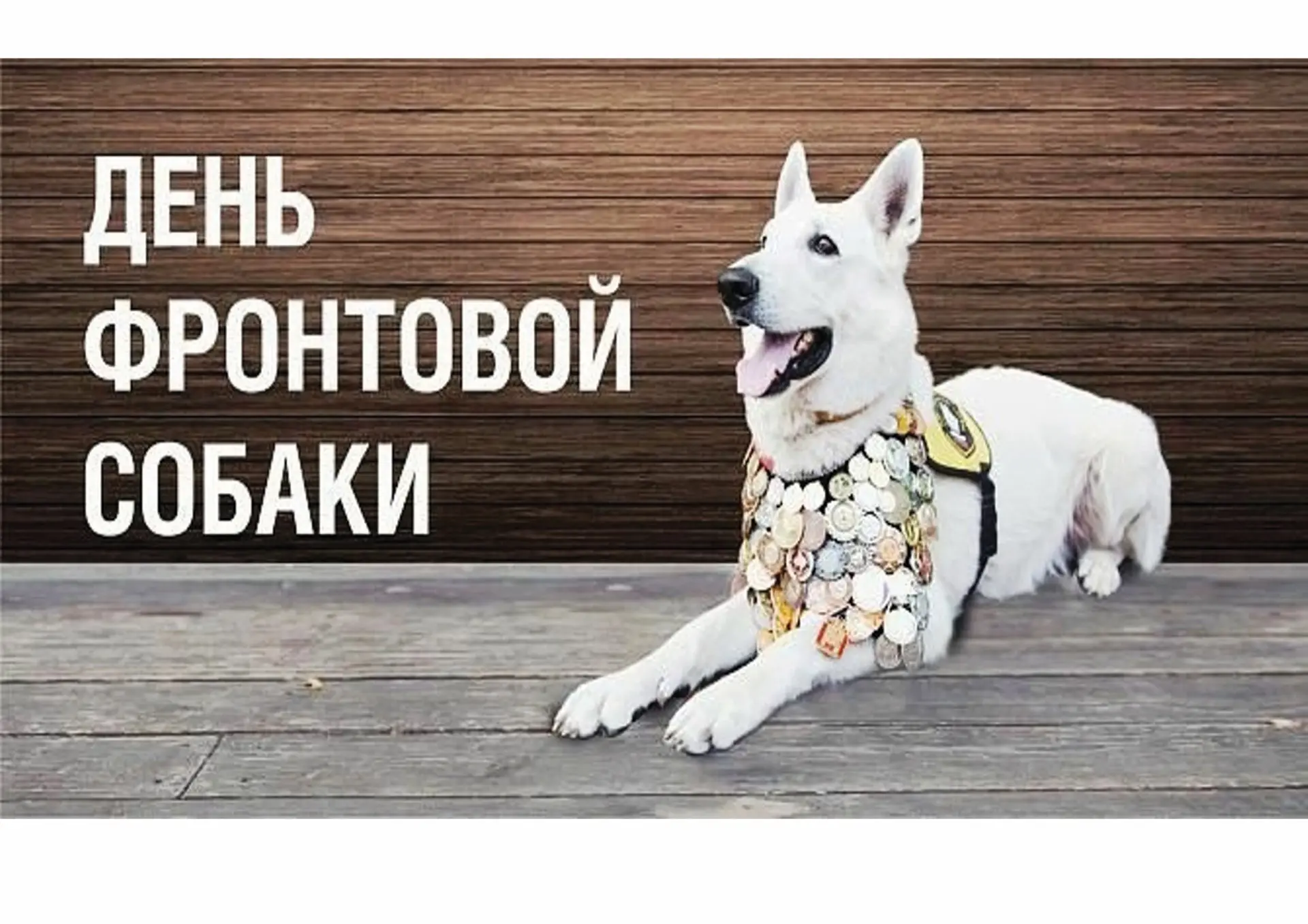 📖В Центральной библиотеке совместно с депутатом Московской Областной Думы Сердюковой Т...