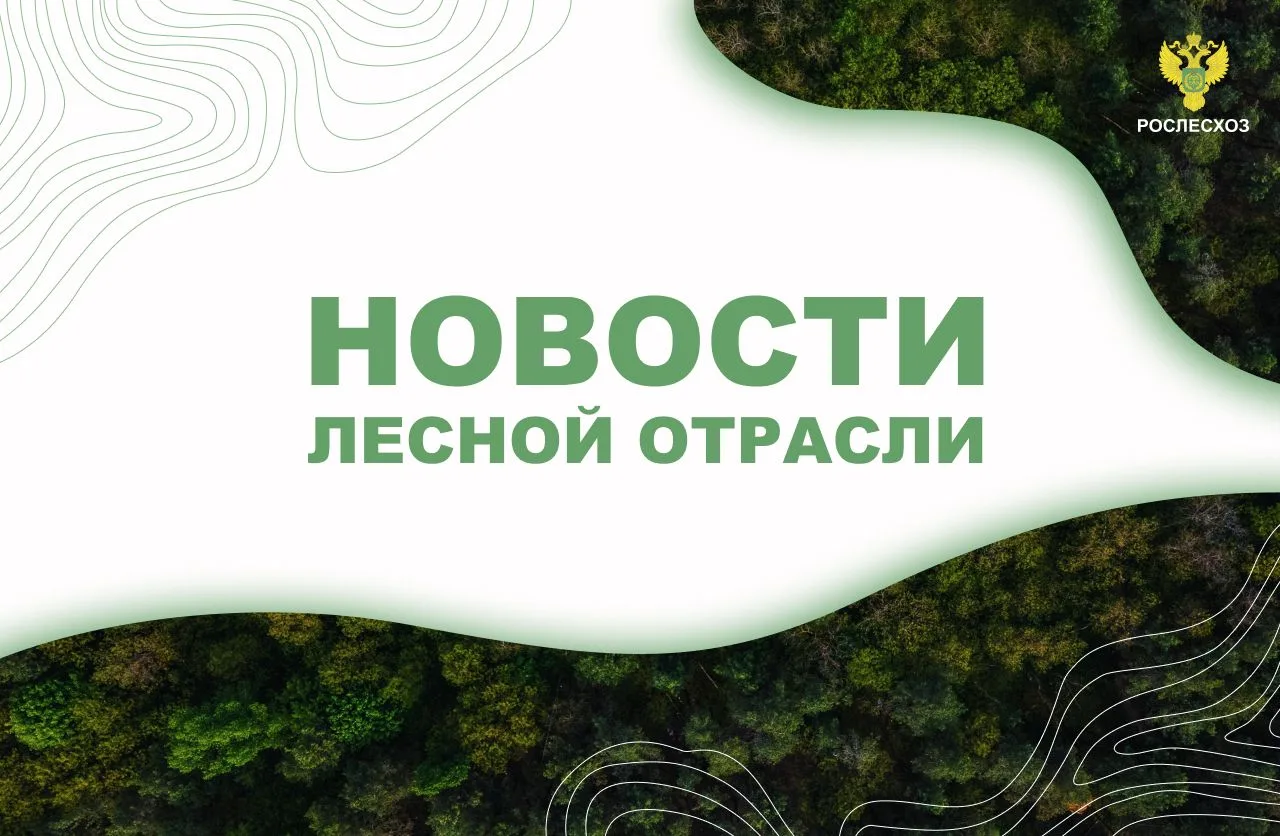 🟢 Zabnews.ru: Рослесхоз: Забайкалье вошло в число регионов с высоким риском лесных пож...