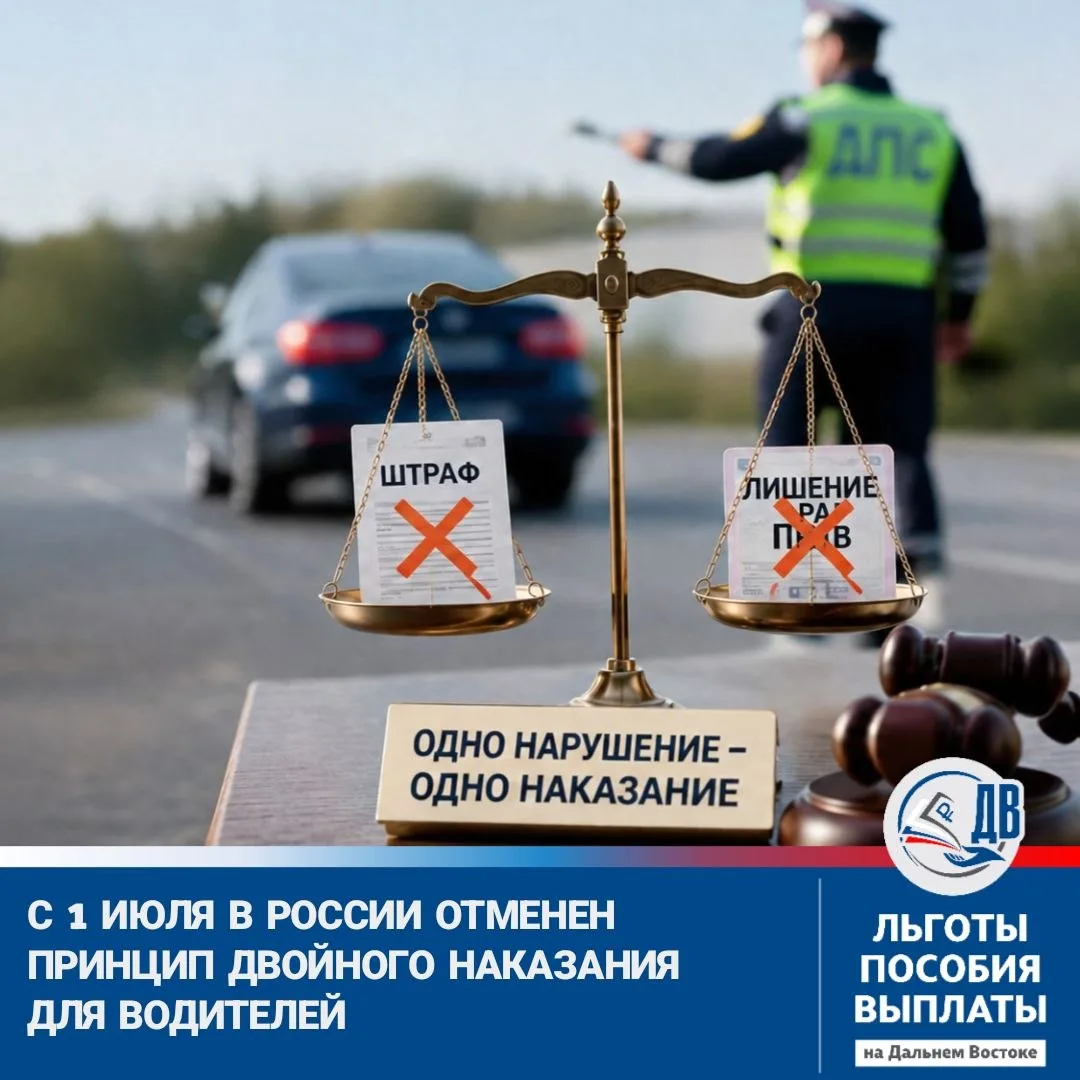 Изображение 1 к публикации «Льготы/Пособия/Выплаты на ДВ»