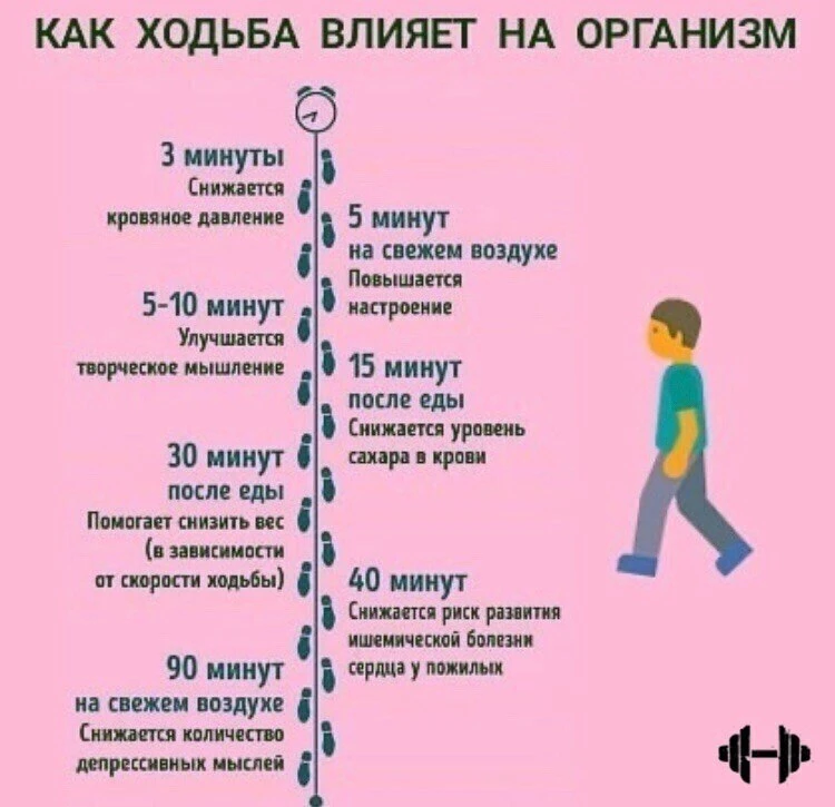 А вы знали?

Правила Хорошего Дома