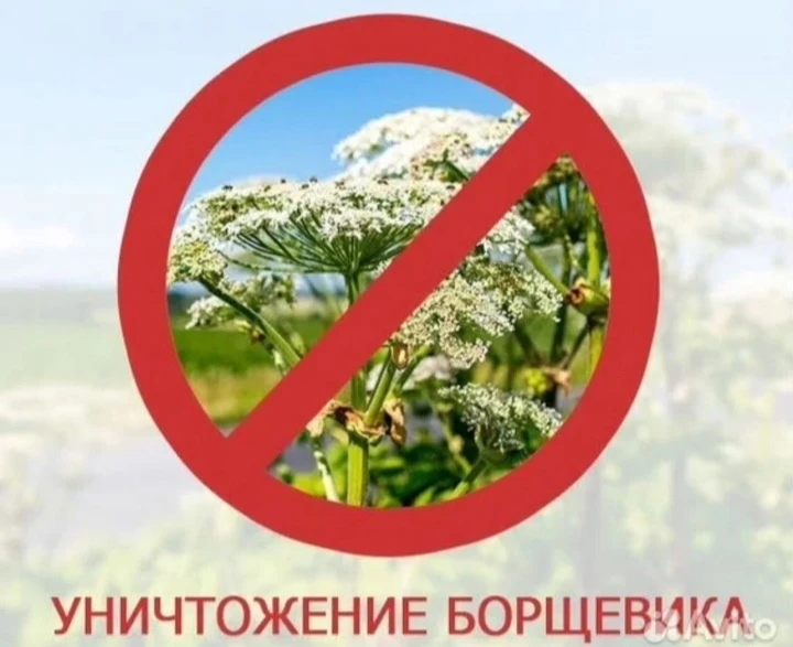 📢 ВНИМАНИЕ!!! ВАЖНОЕ ОБЪЯВЛЕНИЕ!!!!!!