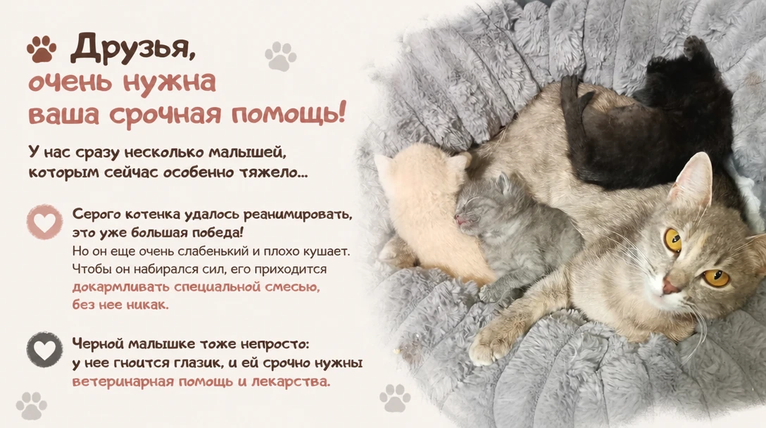 Реквизиты для помощи: