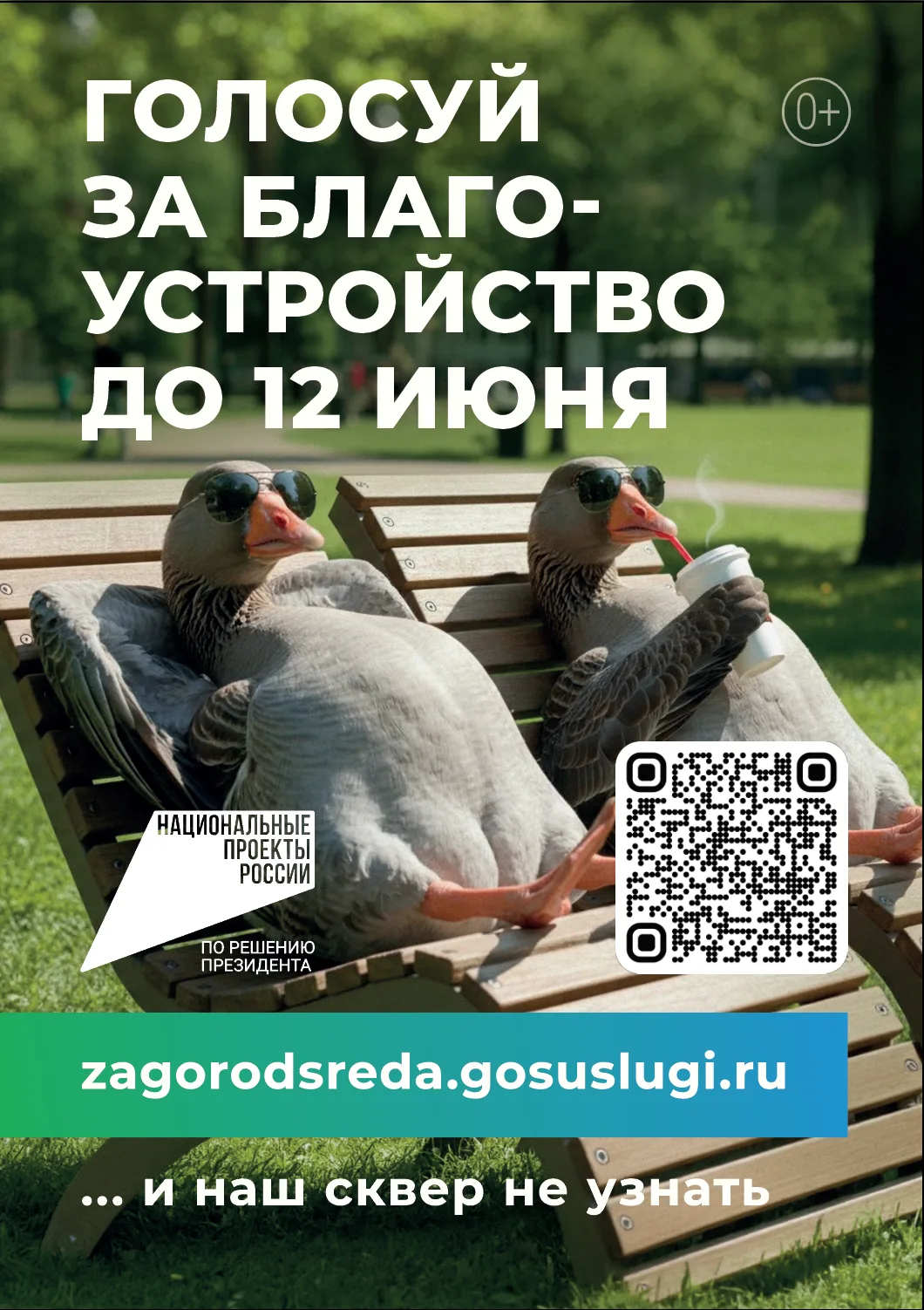 Куда пойдём гулять в следующем году? Решать вам! 🌟