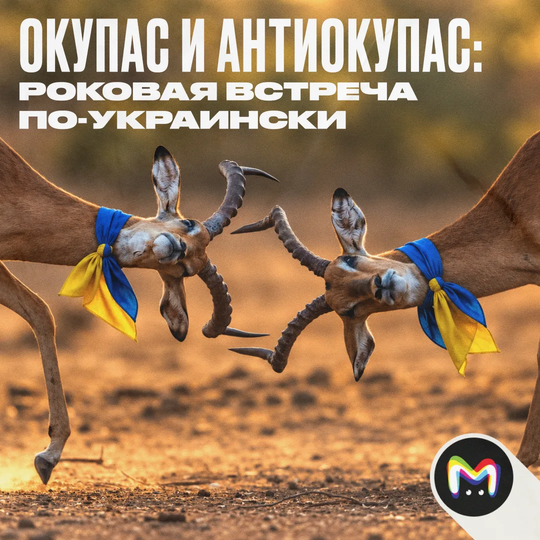Окупасы продолжают захватывать постсоветское пространство. Намедни норму "антиокупас" п...