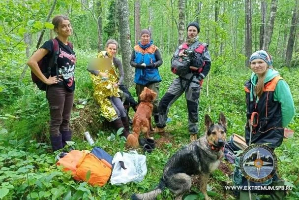 В лесу у Прибылово спустя три дня нашли живой пенсионерку