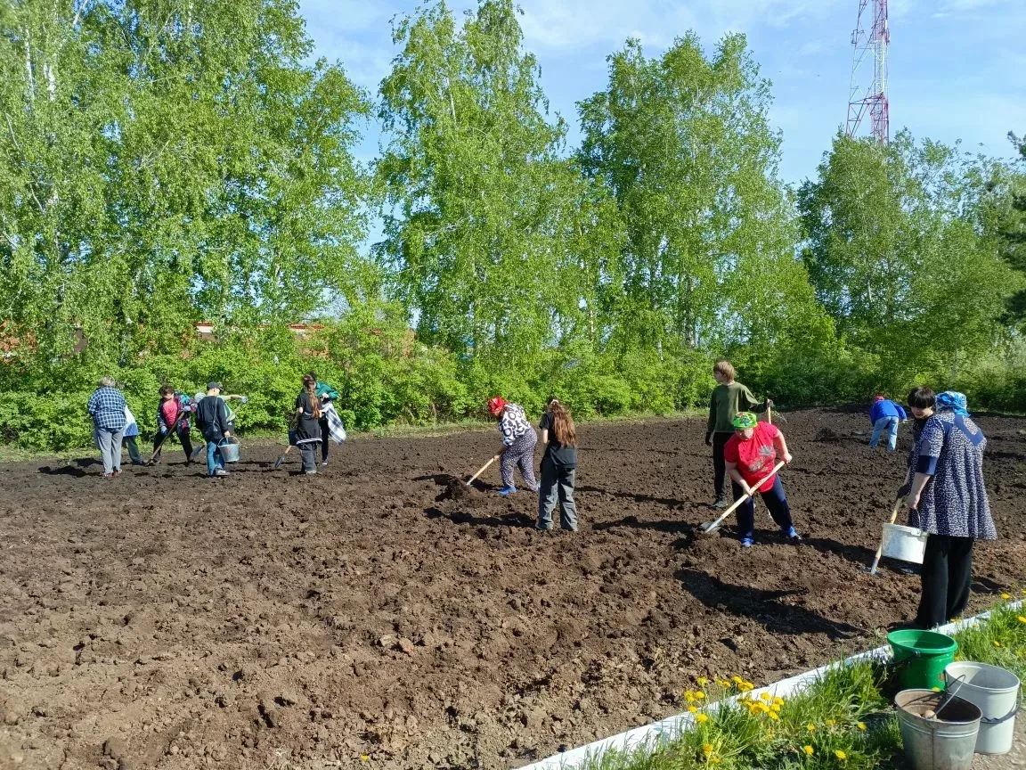 🌿 Субботник в школе: вместе сделаем территорию красивее!