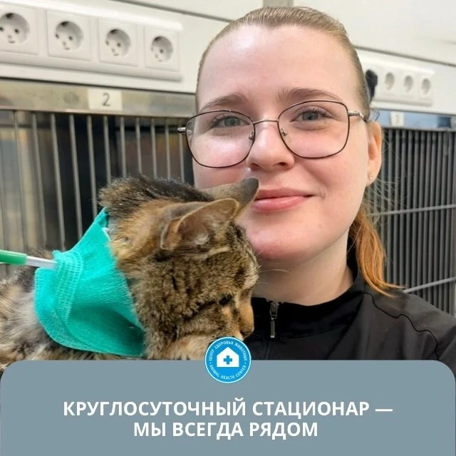 Оставить питомца в стационаре непросто. Особенно когда он находится в тяжелом состоянии.