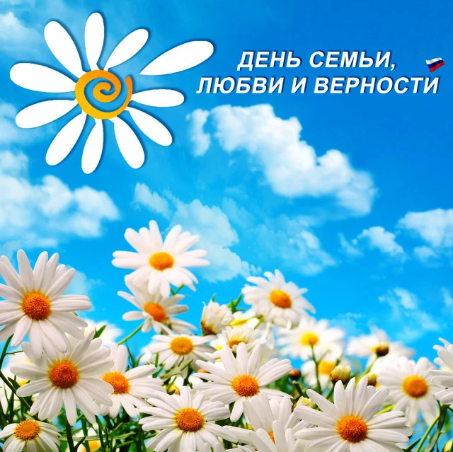 Ромашковое счастье! 🌼
Сегодня мы отмечаем самый тёплый и душевный праздник — День семьи, любви и ве