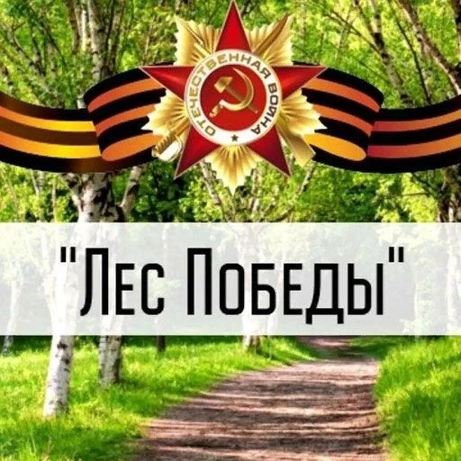 «Беркуты» МАОУ СОШ № 71 взяли новую высоту!
Департамент лесного хозяйства по Уральскому федеральному