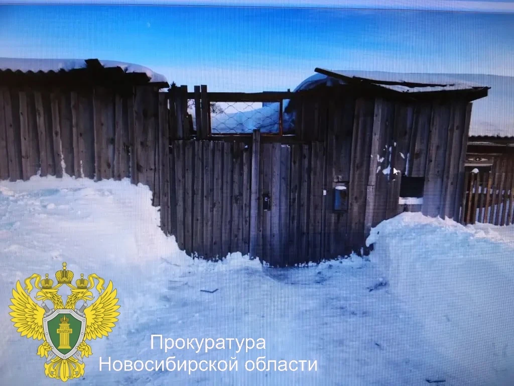 ⚡️В Новосибирской области перед судом предстанет местный житель за причинение тяжкого вреда здоровью