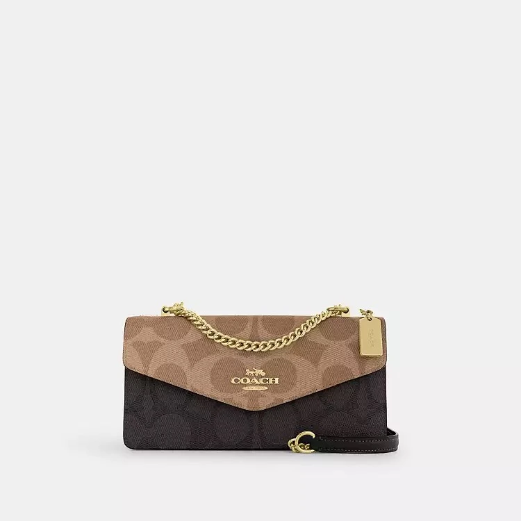 Coach Klare Envelope

Цена 15900₽