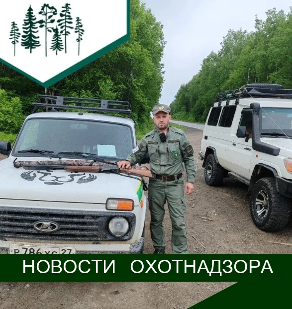📍Сотрудники охотнадзора Хабаровского края продолжают работу по выявлению фактов нарушений законодат