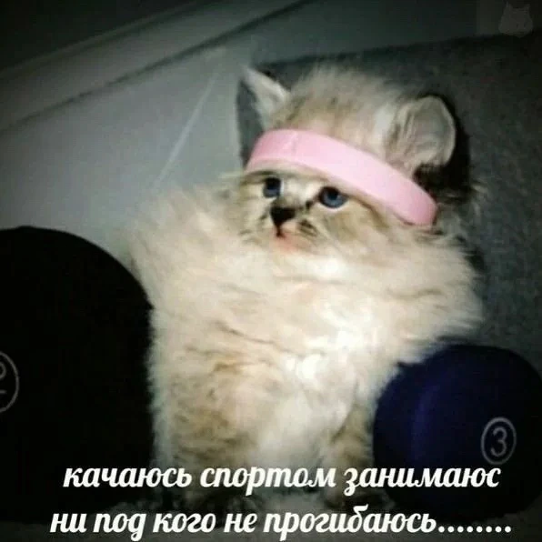 +100% к настроению и заряду бодрости🧘🏽‍♀️