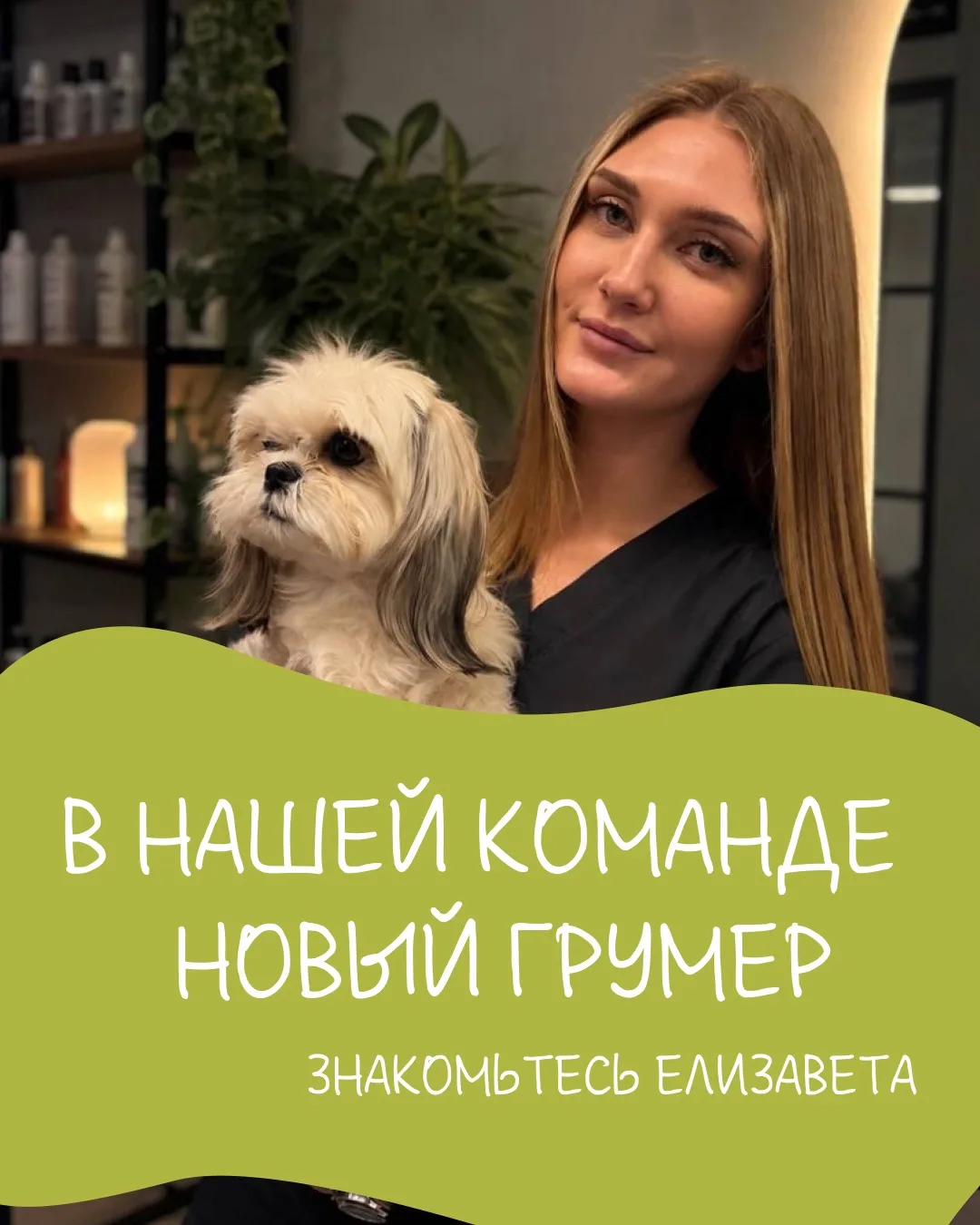 В нашей команде новый мастер 🐾💙