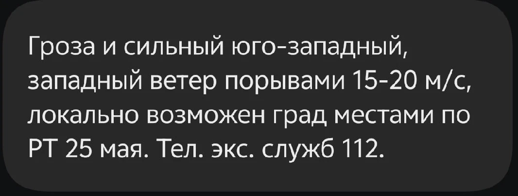 ⛈ В Татарстане ожидаются грозы и сильный ветер  25 мая по республике прогнозируются грозы, местами в