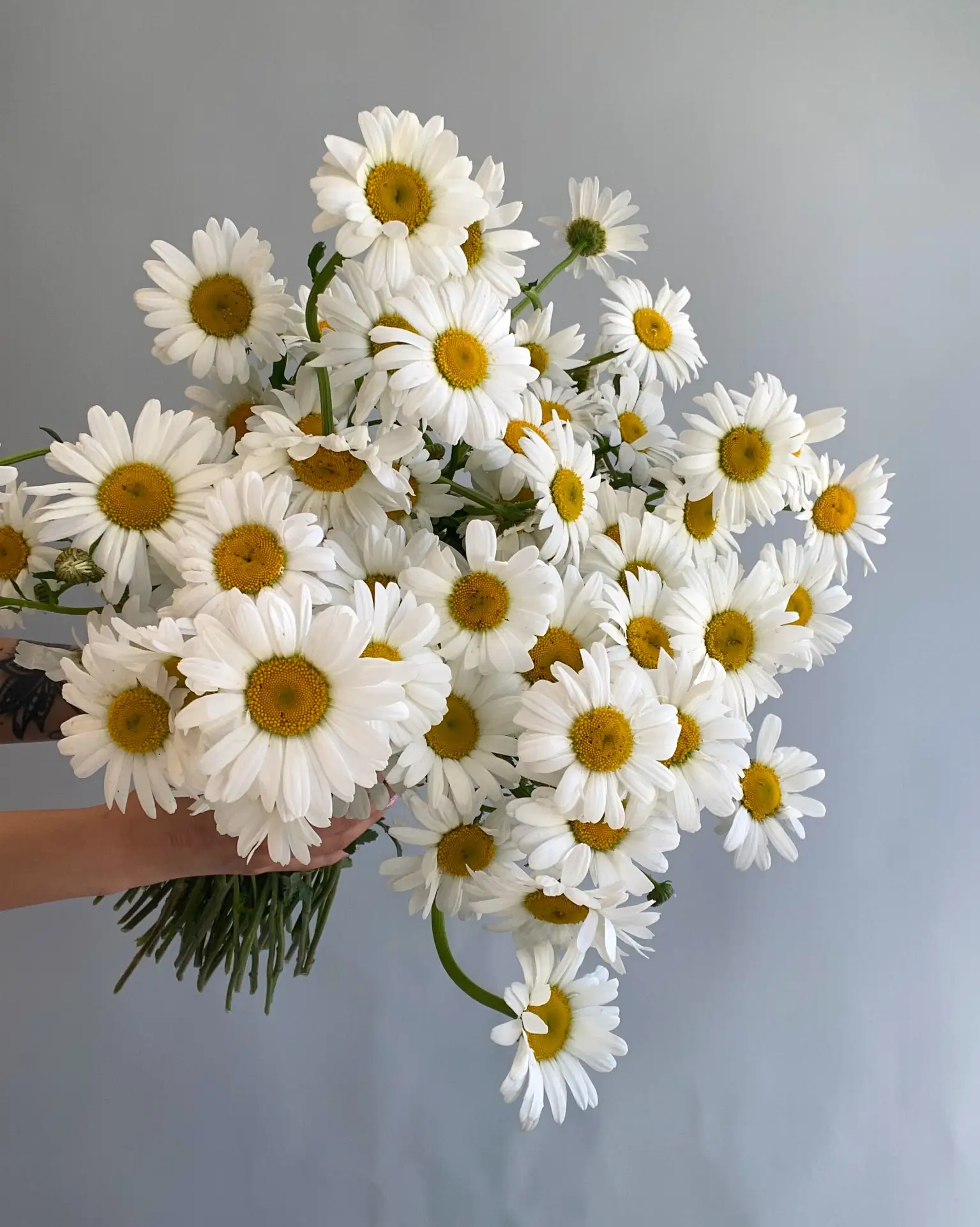 ЛЕТО! В новой поставке самые летние и ароматные цветы, цены ниже🤗