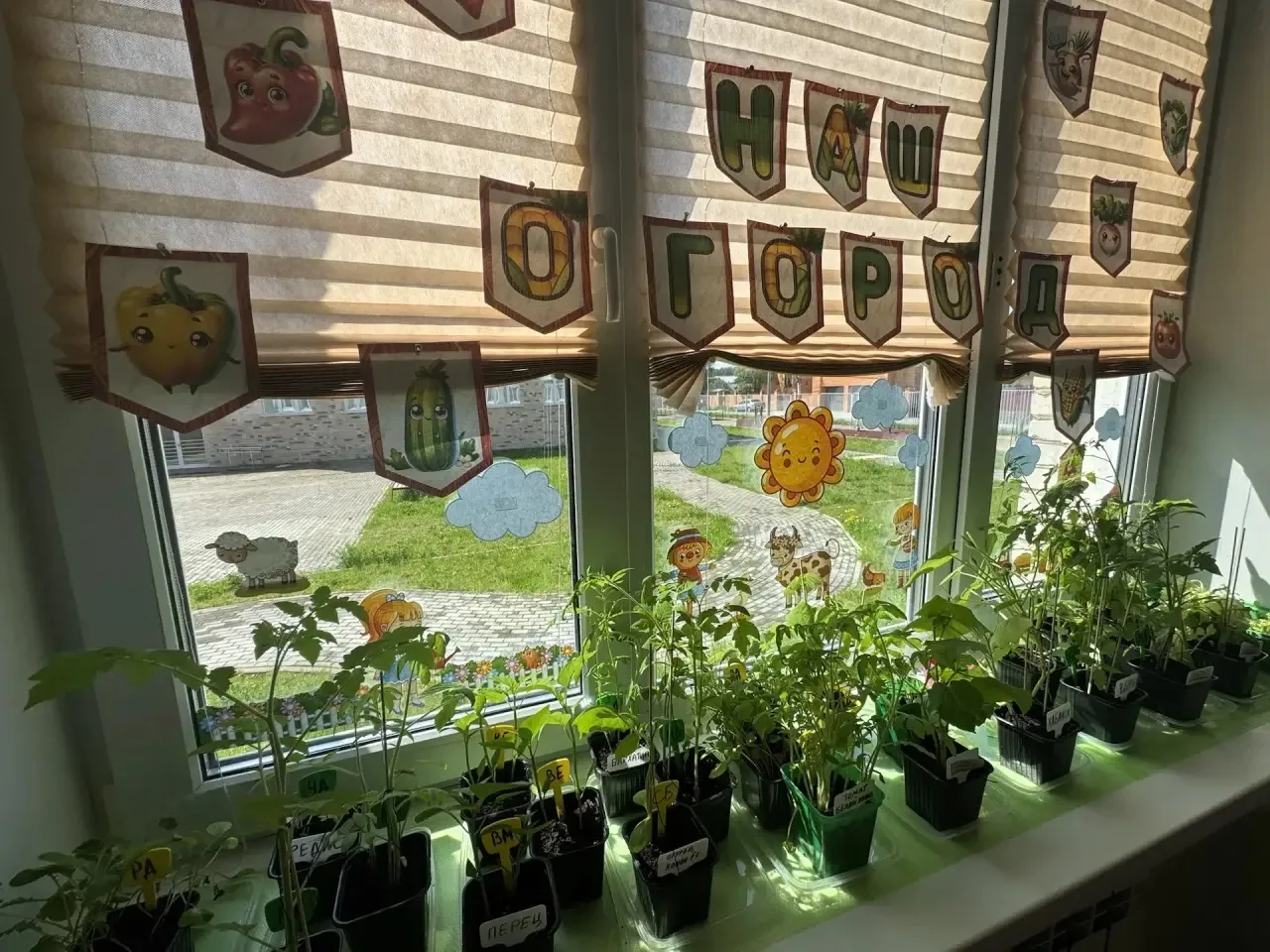 🌱У ребят из 3 «Г» класса на подоконнике ожил настоящий огород! 🌱Они решили провести эксперимент - мо