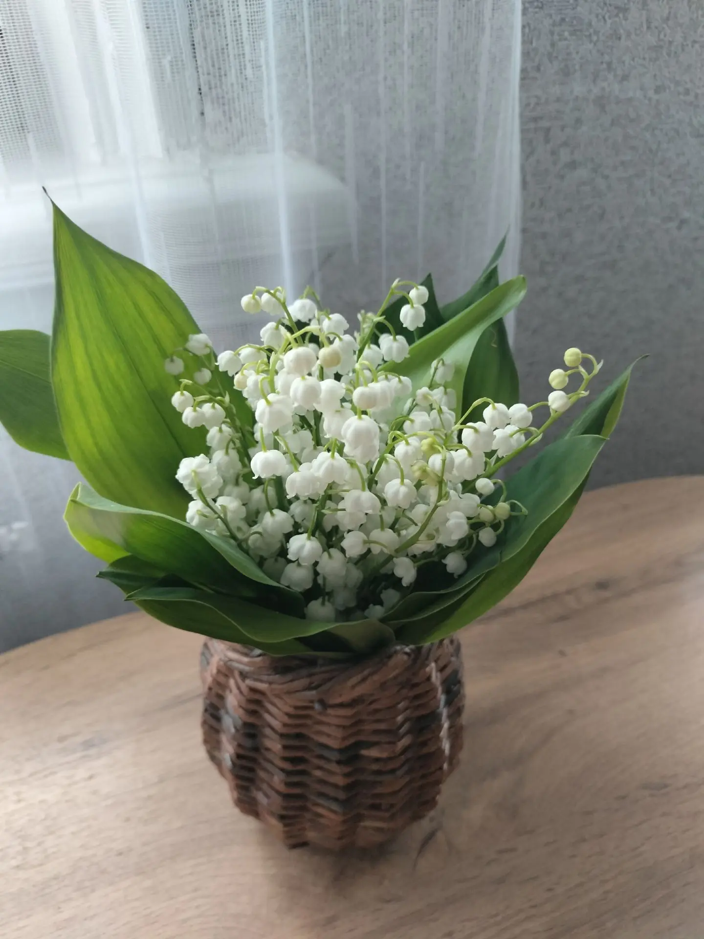 #фотоконкурс #Цветы_у_дома