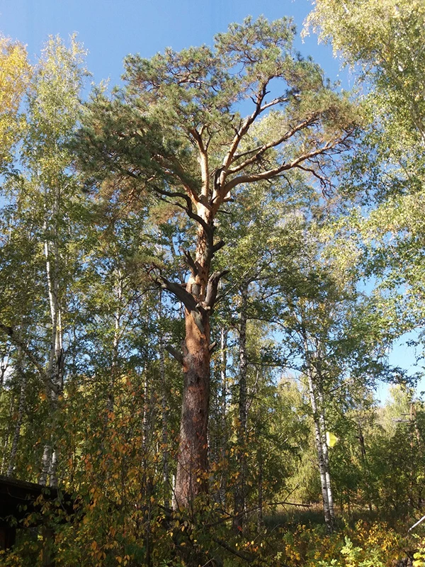 Уважаемые собственники!