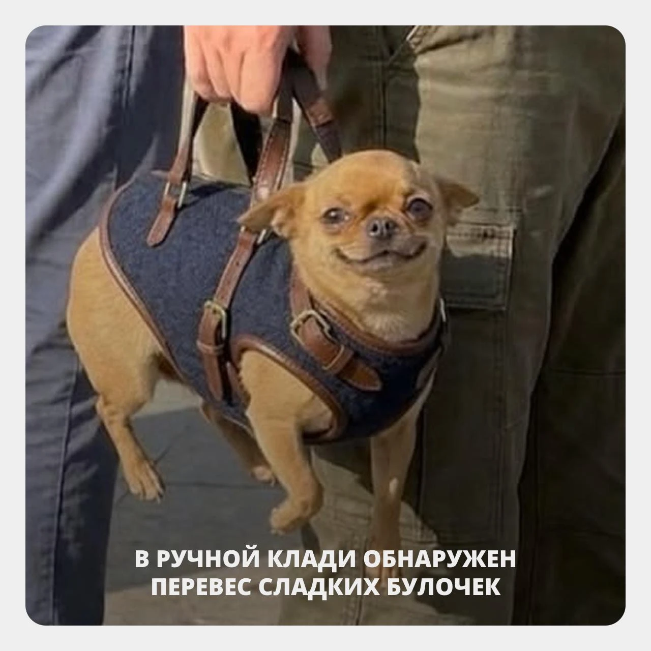 Путешествие только с ручной кладью: что действительно нужно брать🧳
